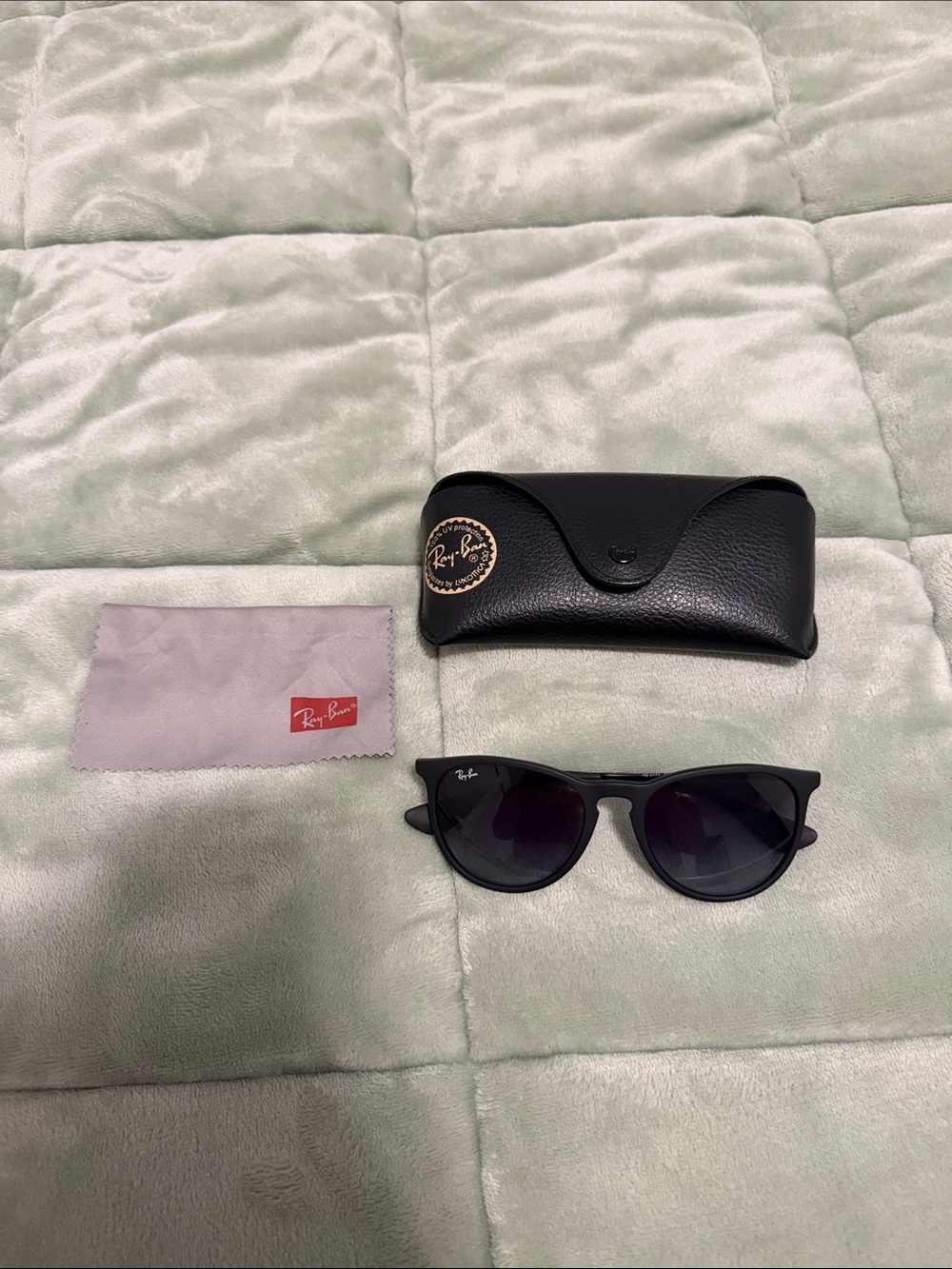 Ray Ban Erika Black sunglasses